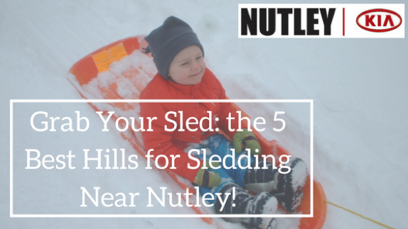 Grab Your Sled sled
