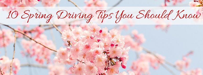 10 Spring Driving Tips You Should Know