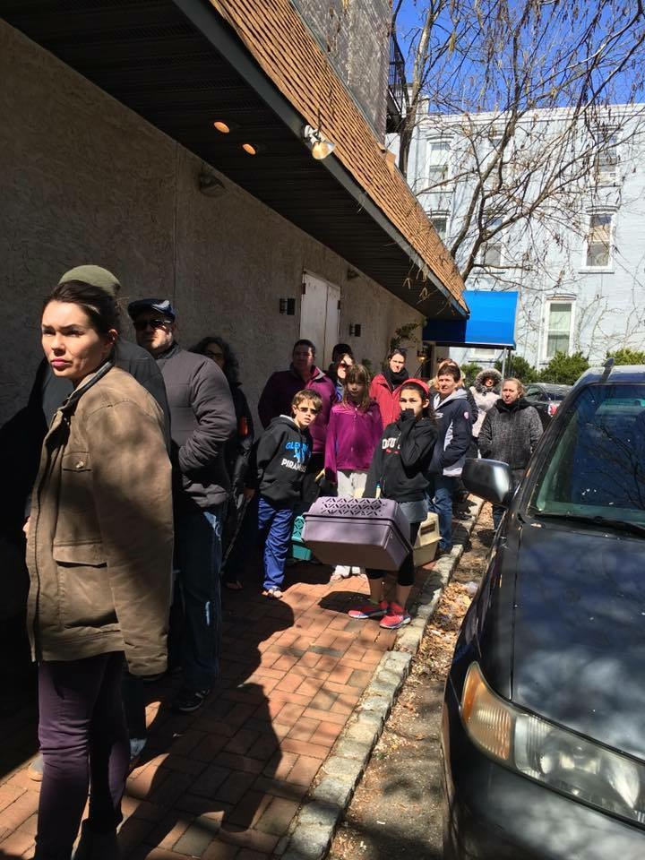 Local_Residents_Applying_To_Foster_Animals