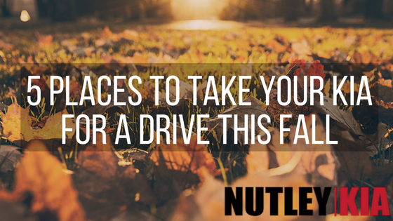 5-place-to-take-your-kia-for-a-drive