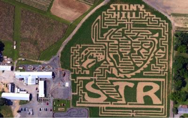 Stony Hill Farms Maze