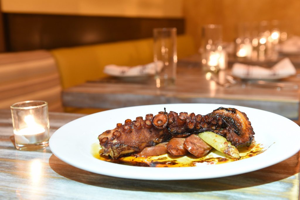 denovo-european-pub-02d005ca98c0c1d3