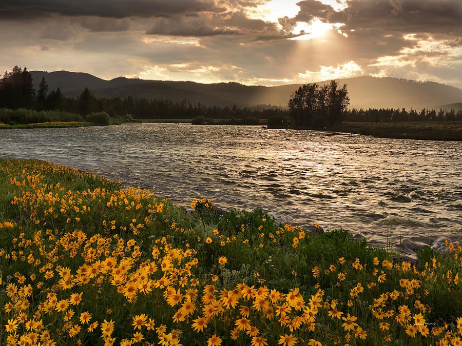 spring-in-harriman-state-park-leland-howard