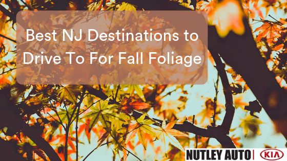 NJ Fall Foliage
