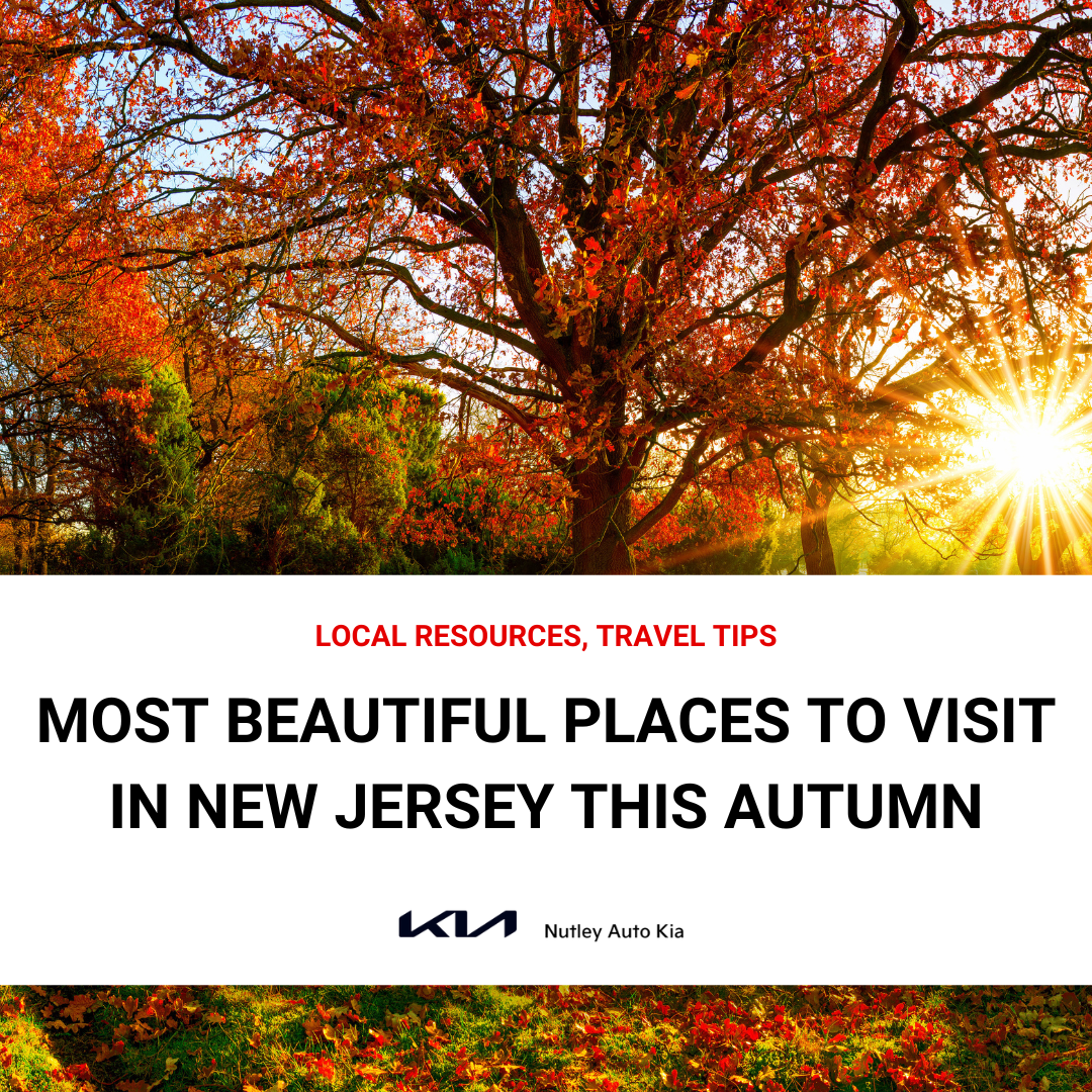 Most Beautiful Places to Visit in New Jersey This Autumn BLOG