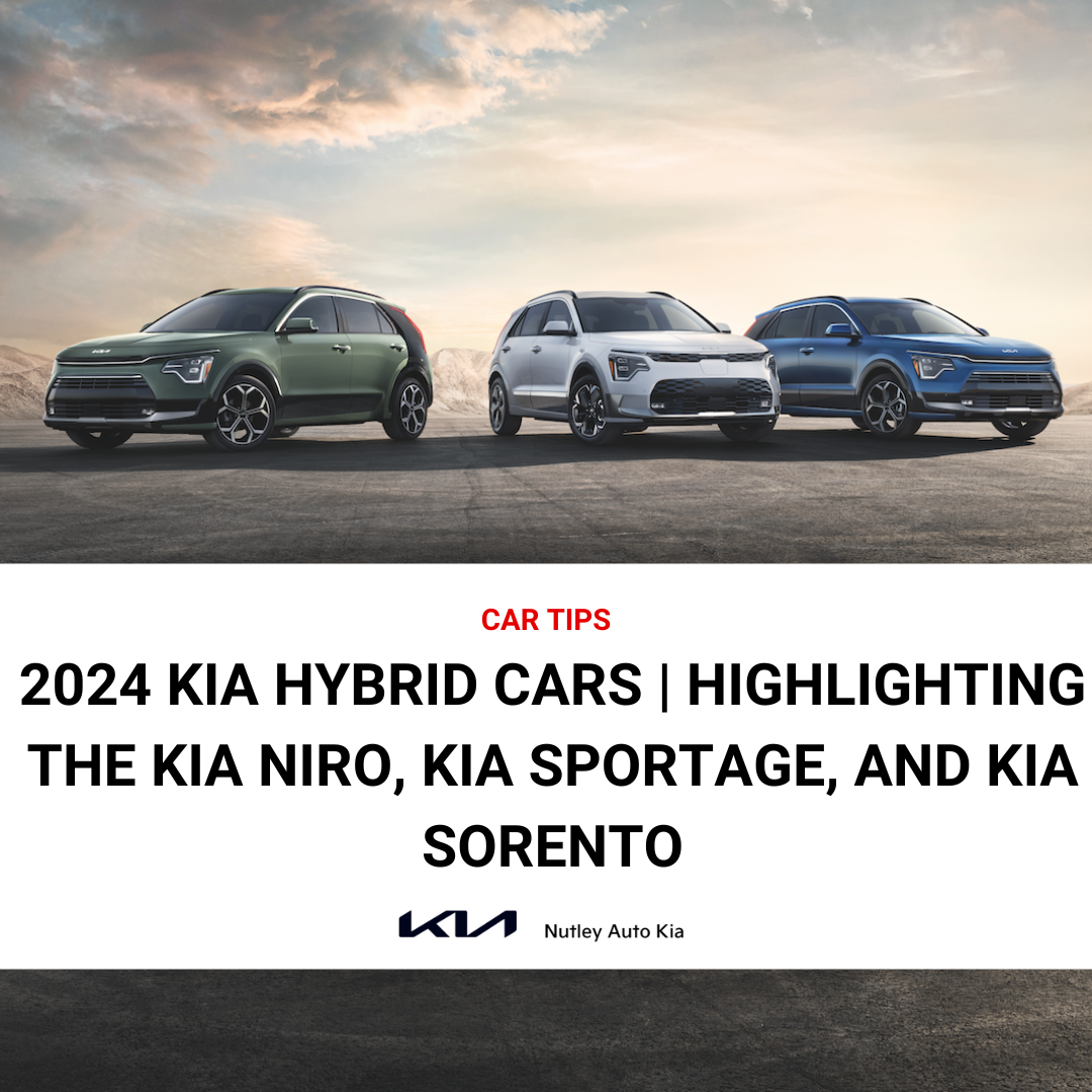 Kia's Electrifying Lineup A Deep Dive into the 2024 Niro, Sportage, and EV9