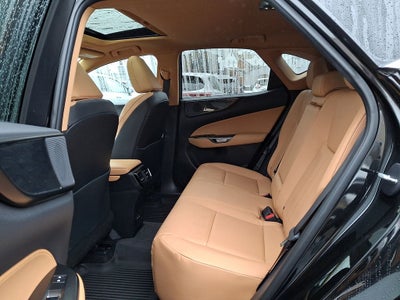 2023 Lexus NX 350 Premium